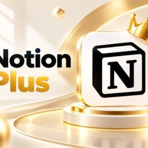Notion Plus